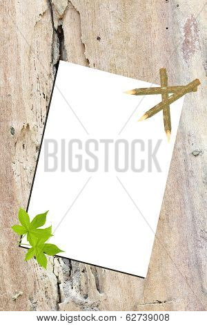 White Paper