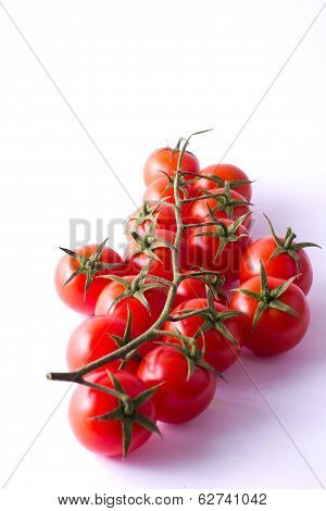 Fresh cherry tomatoes
