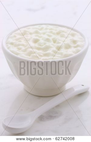 Fresh And Healthy Cottage Cheese