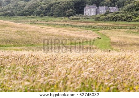 Meadows At Derrynane House
