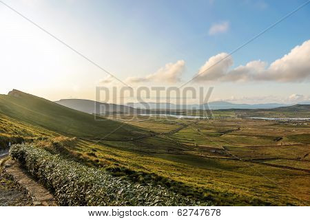 Pasture Landscape Near Portmagee