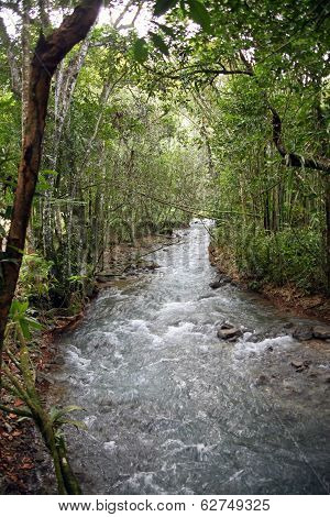 River Through the Jungle