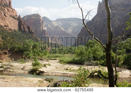 Cliffs at Zions National Park