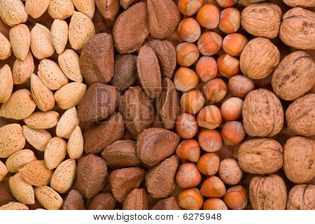 Nut Arrangement