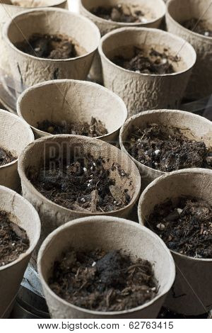 seedling starter pots