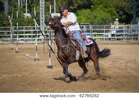 Reins Test