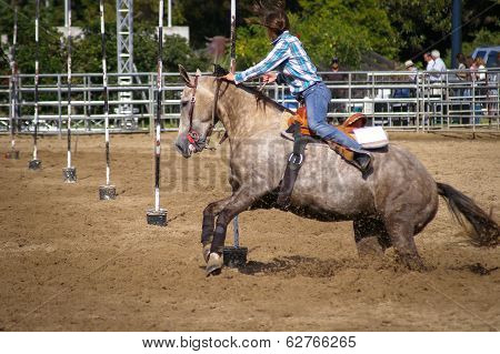 Reins Test