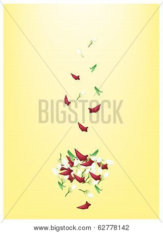 Corolla Of Roses And Jasmines On Yellow Background