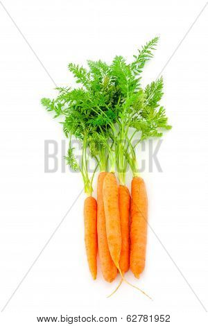 Fresh Organic Carrots On White Background