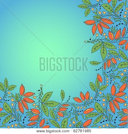 Barberry Berries Card. Place For Text