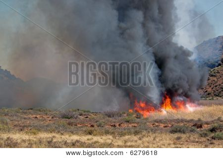 Brushfire