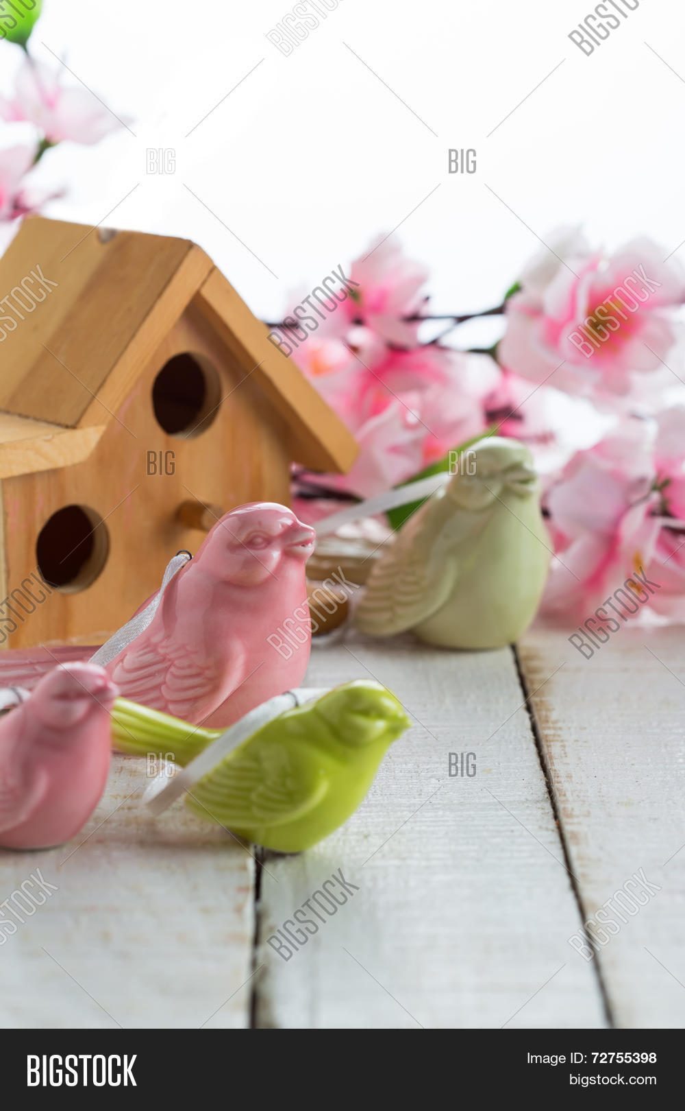 Image Preview