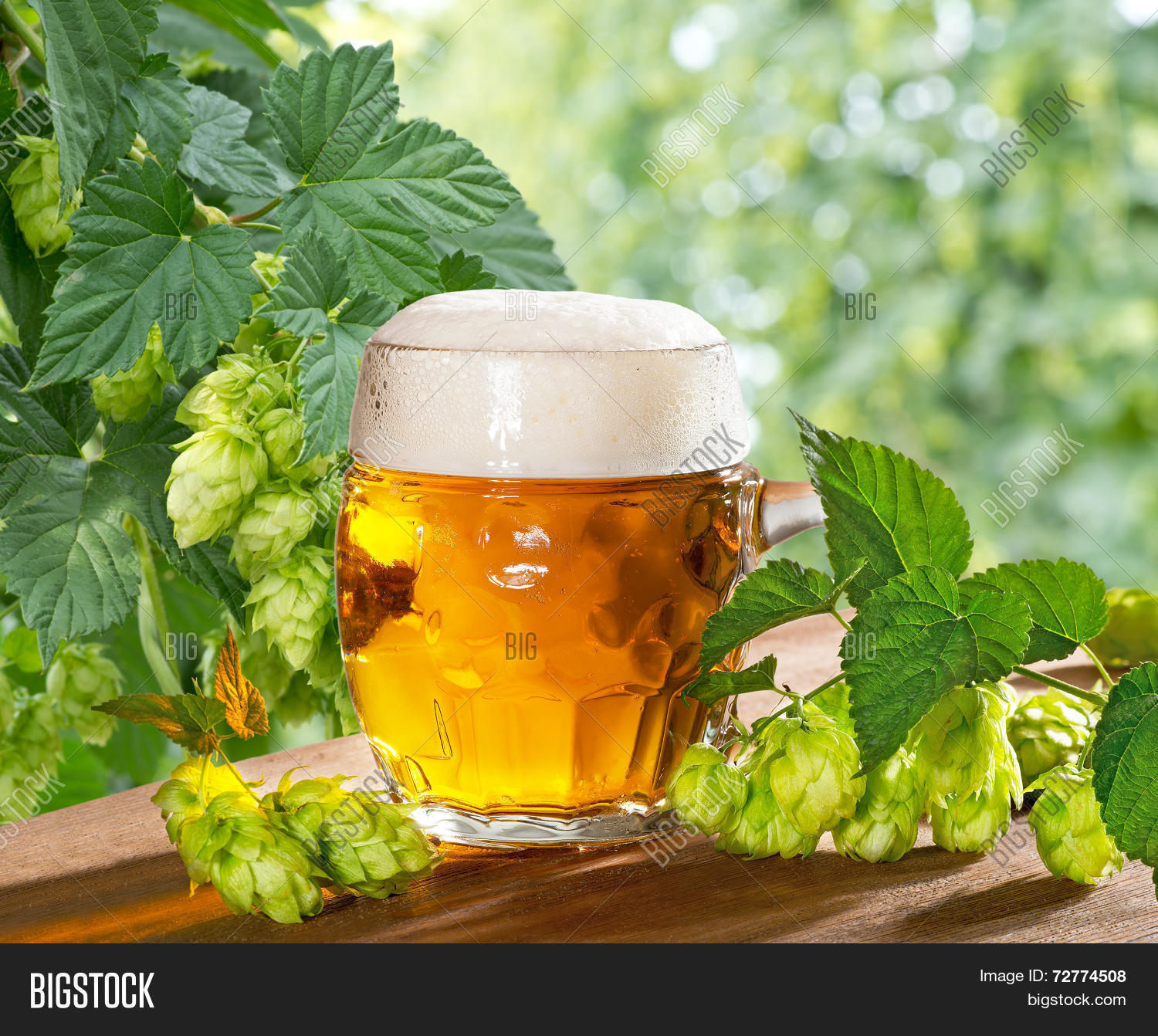Beer Hops Image & Photo (Free Trial) Bigstock