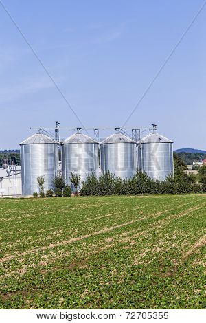 Four Silver Silos In Field
