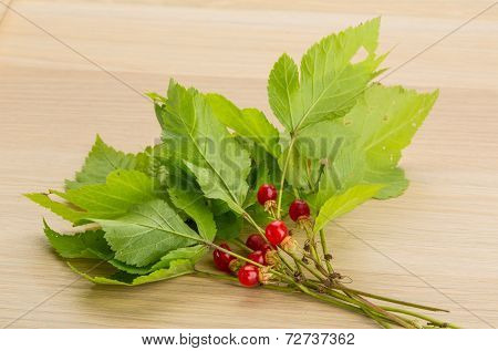 Stone Bramble