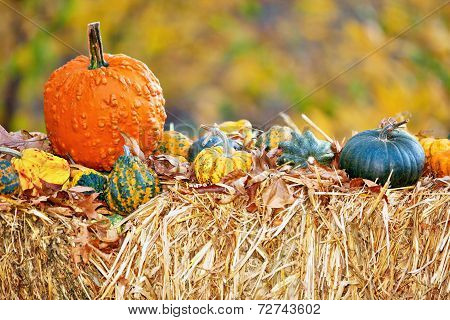 Pumpkins On Hay