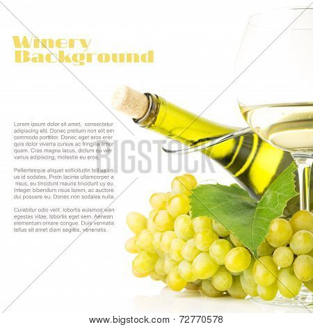 Winery Background. White Grapes With Bottle Of White Wine Isolated On White Background