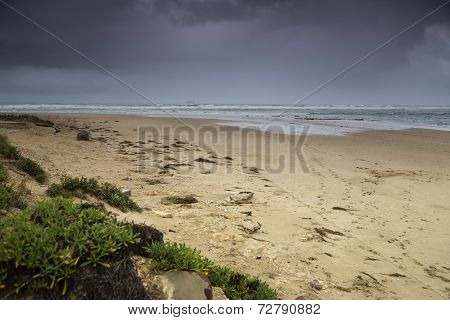 Beach scene
