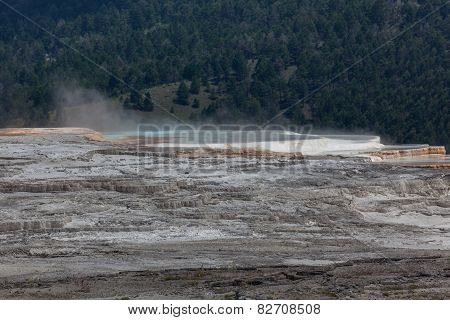 Mammoth Hot Springs