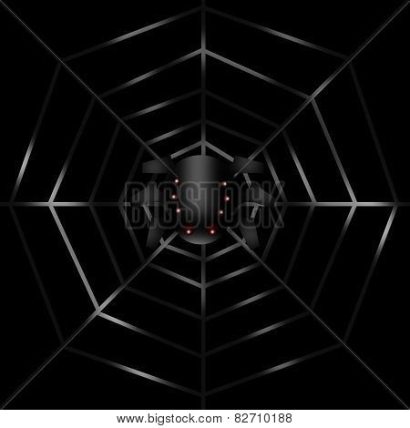Spider In The Center Of The Web