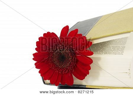 Closed Book With A Red Flower.