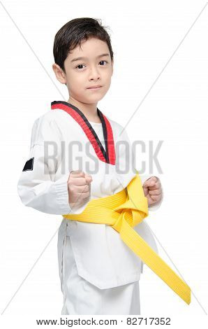 Little Tae Kwon Do Boy Martial Art Yellow Belt