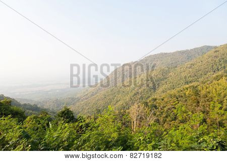 Covered Peaks And Trees