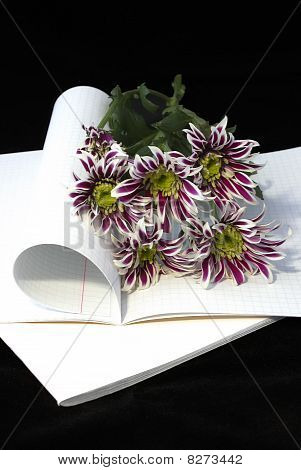 Opened Notebook And Flowers.