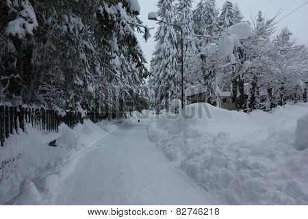 Street Covered With Snow in winter season