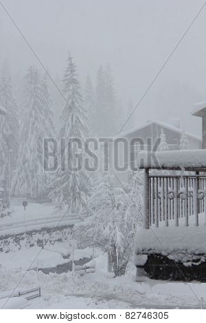 Madesimo,Tree Branches and houses Covered With Snow