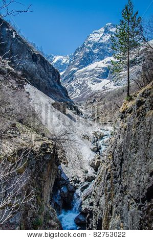 Spring in the mountains