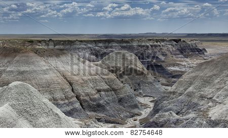 Desert