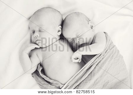 Sweet Twins