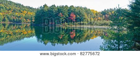 Forest lake