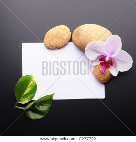 스파