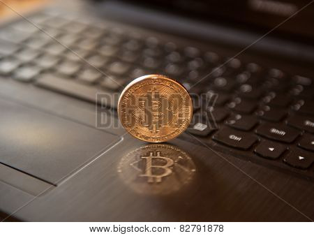 Bitcoin Cryptocurrency