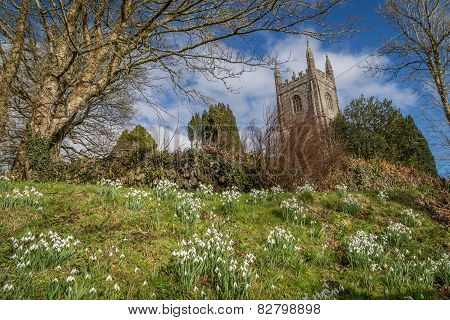 Snowdrops in the church yard