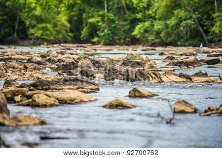 Scenes Around Landsford Canal State Park In South Carolina