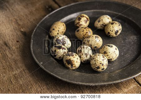 Moody Natural Lighting Vintage Retro Style Image Of Quaills Eggs