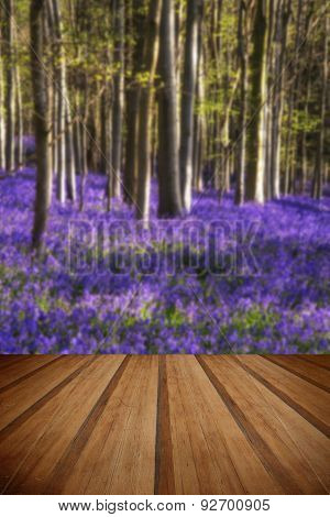 Stunning Bluebell Flowers In Spring Forest Landscape With Wooden Planks Floor