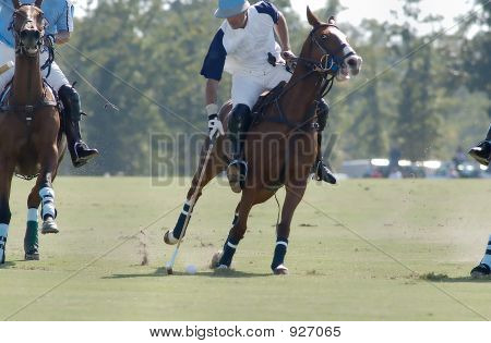 Polo giocatore colpisce la palla