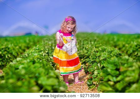 Child Picking Fresh Strawberry On A Farm