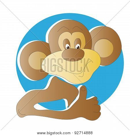 Monkey