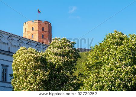 Vilnius. Tower Gedemin.