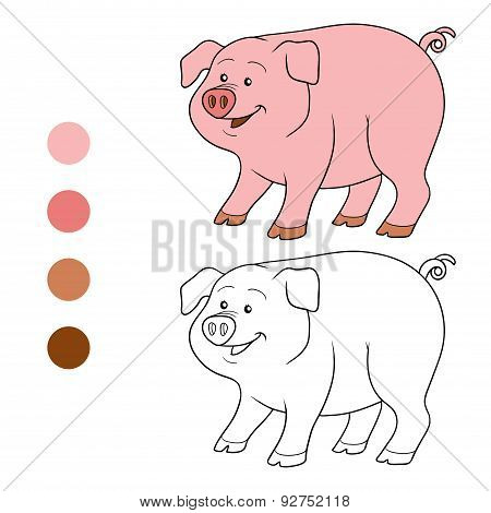 Coloring Book (pig)