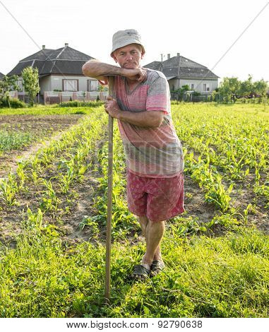 Farmer Hoeing Vegetable Garden
