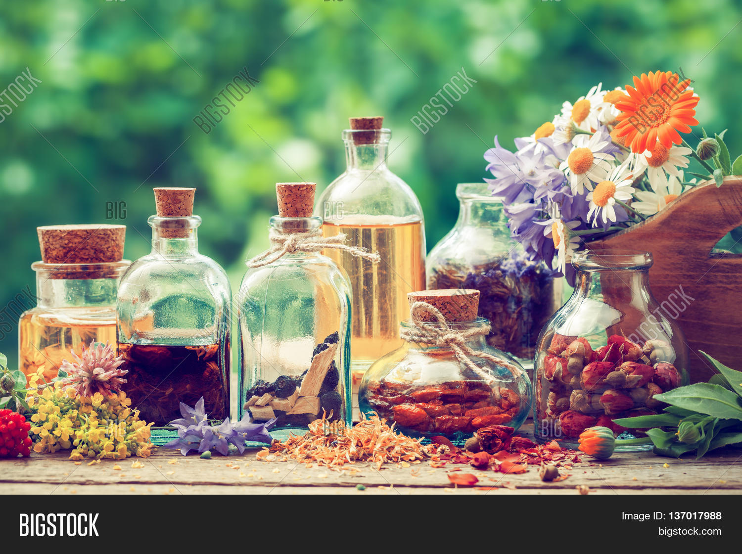 Bottles Tincture Image & Photo (Free Trial) Bigstock