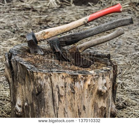 Axe stuck in treeold axe stuck in a stump on a background of straw closeup