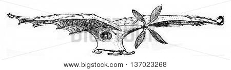 Airline Ader, vintage engraved illustration. Industrial encyclopedia E.-O. Lami - 1875.