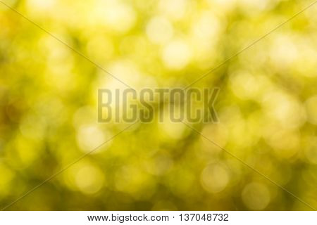 Blurred Yellow Lights Circular Bokeh Abstract For Christmas Background